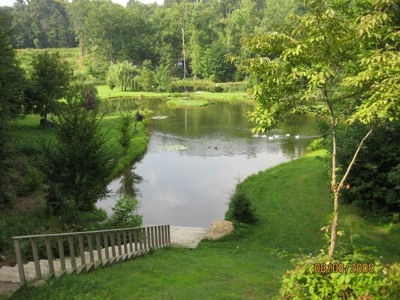 Luxury Country Estate - image 3