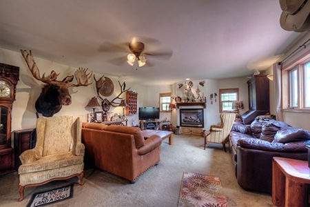 Alma Colorado Horse Property 20 minutes to Breckenridge - image 4
