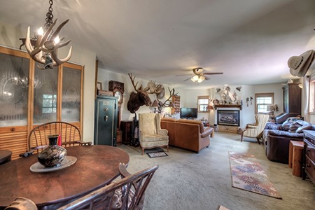 Alma Colorado Horse Property 20 minutes to Breckenridge - image 10