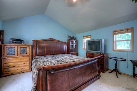 Alma Colorado Horse Property 20 minutes to Breckenridge - image 20