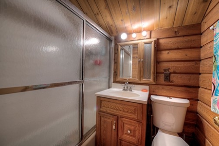 Alma Colorado Horse Property 20 minutes to Breckenridge - image 19