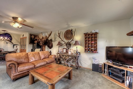 Alma Colorado Horse Property 20 minutes to Breckenridge - image 7