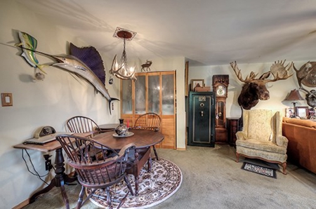 Alma Colorado Horse Property 20 minutes to Breckenridge - image 9