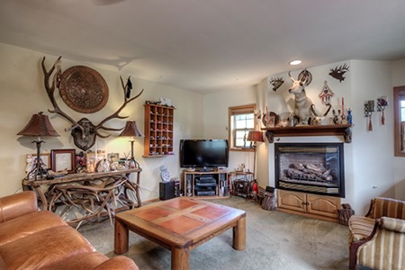 Alma Colorado Horse Property 20 minutes to Breckenridge - image 5