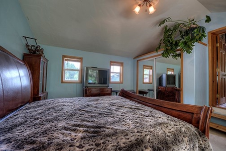 Alma Colorado Horse Property 20 minutes to Breckenridge - image 22