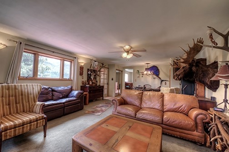 Alma Colorado Horse Property 20 minutes to Breckenridge - image 6