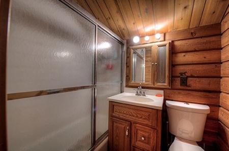 Alma Colorado Horse Property 20 minutes to Breckenridge - image 18