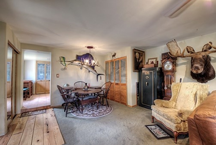 Alma Colorado Horse Property 20 minutes to Breckenridge - image 8