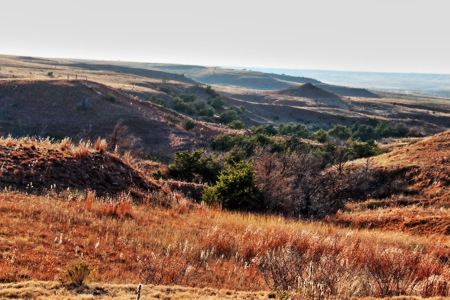 Buffalo Oklahoma 240 Acre Ranch - Hunting - Pasture For Sale - image 3