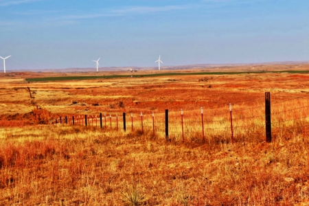 Buffalo Oklahoma 240 Acre Ranch - Hunting - Pasture For Sale - image 17