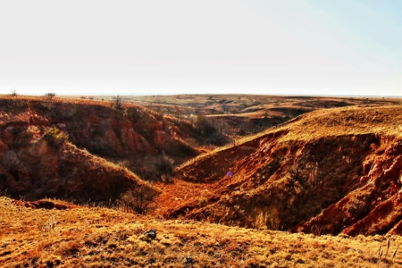 Buffalo Oklahoma 240 Acre Ranch - Hunting - Pasture For Sale - image 4
