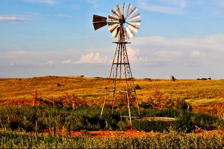 Buffalo Oklahoma 240 Acre Ranch - Hunting - Pasture For Sale - image 2