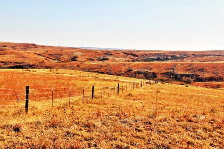 Buffalo Oklahoma 240 Acre Ranch - Hunting - Pasture For Sale - image 12