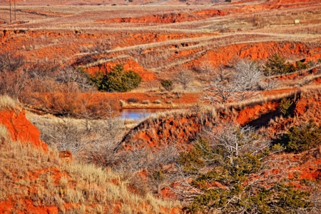 Buffalo Oklahoma 240 Acre Ranch - Hunting - Pasture For Sale - image 26