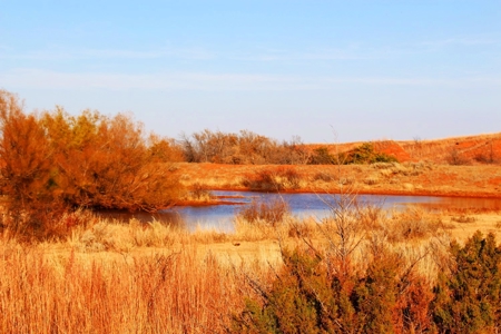 Buffalo Oklahoma 240 Acre Ranch - Hunting - Pasture For Sale - image 20