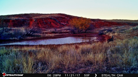 Buffalo Oklahoma 240 Acre Ranch - Hunting - Pasture For Sale - image 5