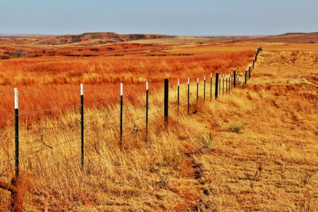 Buffalo Oklahoma 240 Acre Ranch - Hunting - Pasture For Sale - image 10