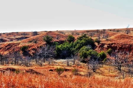 Buffalo Oklahoma 240 Acre Ranch - Hunting - Pasture For Sale - image 13