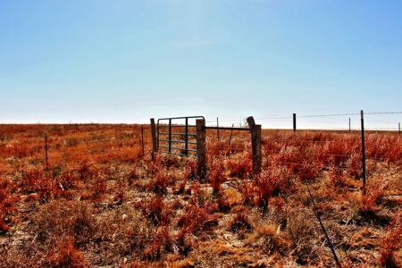 Buffalo Oklahoma 240 Acre Ranch - Hunting - Pasture For Sale - image 8