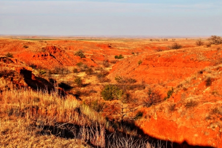 Buffalo Oklahoma 240 Acre Ranch - Hunting - Pasture For Sale - image 19