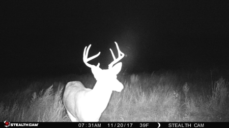 Buffalo Oklahoma 240 Acre Ranch - Hunting - Pasture For Sale - image 35