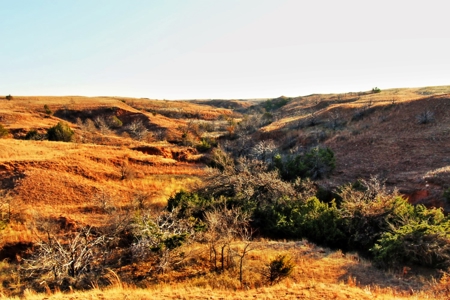 Buffalo Oklahoma 240 Acre Ranch - Hunting - Pasture For Sale - image 22