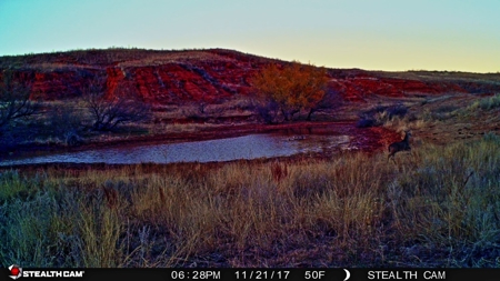 Buffalo Oklahoma 240 Acre Ranch - Hunting - Pasture For Sale - image 32