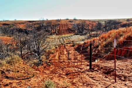 Buffalo Oklahoma 240 Acre Ranch - Hunting - Pasture For Sale - image 21