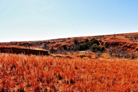 Buffalo Oklahoma 240 Acre Ranch - Hunting - Pasture For Sale - image 16