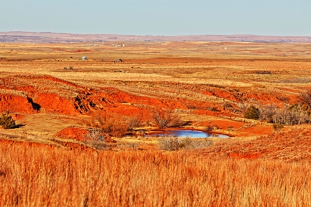Buffalo Oklahoma 240 Acre Ranch - Hunting - Pasture For Sale - image 27