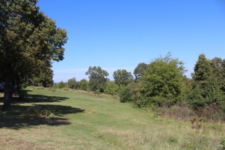 Rv Park, Motel, Cabins & Home For Sale Mountain View Ar - image 24