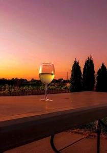 Vineyard Winery VRBO Event Venue For Sale in Walla Walla WA - image 38