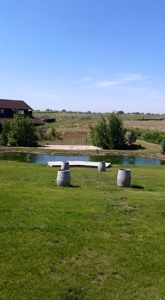 Vineyard Winery VRBO Event Venue For Sale in Walla Walla WA - image 24