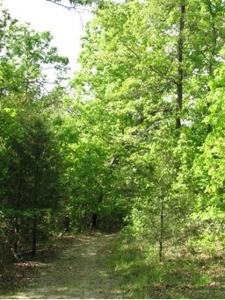 Home With 27 Acres For Sale In North Arkansas - image 39