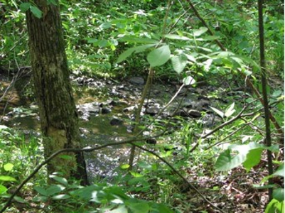 Home With 27 Acres For Sale In North Arkansas - image 40