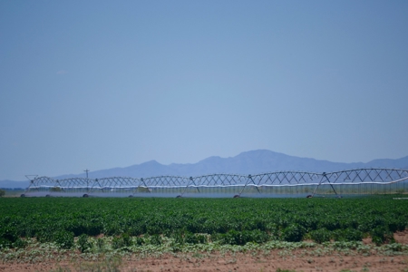 Water Investment Opportunity Irrigated Farm Land West Texas - image 30
