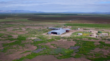 Water Investment Opportunity Irrigated Farm Land West Texas - image 9