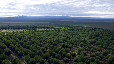 Water Investment Opportunity Irrigated Farm Land West Texas - image 6
