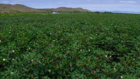 Water Investment Opportunity Irrigated Farm Land West Texas - image 16