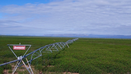 Water Investment Opportunity Irrigated Farm Land West Texas - image 10