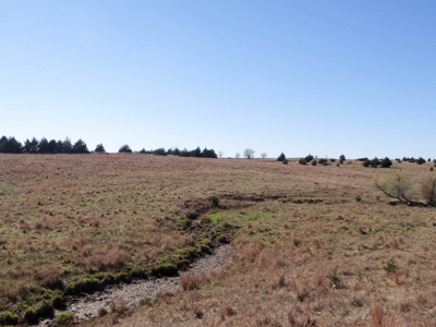 Tract #1 - 156.91± Acres of Pasture & Farmland in Saline Co. - image 9