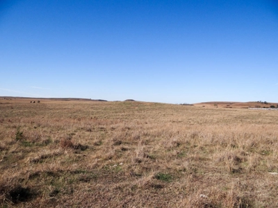 Tract #1 - 156.91± Acres of Pasture & Farmland in Saline Co. - image 6