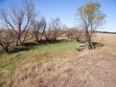 Tract #1 - 156.91± Acres of Pasture & Farmland in Saline Co. - image 13