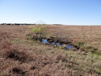 Tract #1 - 156.91± Acres of Pasture & Farmland in Saline Co. - image 12