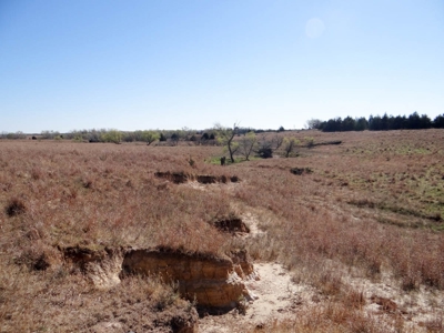 Tract #1 - 156.91± Acres of Pasture & Farmland in Saline Co. - image 8