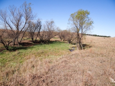 Tract #1 - 156.91± Acres of Pasture & Farmland in Saline Co. - image 11