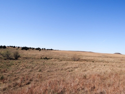 Tract #1 - 156.91± Acres of Pasture & Farmland in Saline Co. - image 10