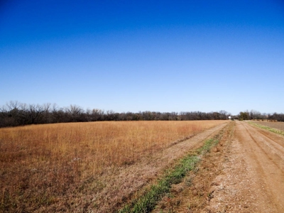 Tract #2 - 150.22± Acres of Farmland in Saline County Kansas - image 13