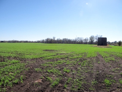 Tract #2 - 150.22± Acres of Farmland in Saline County Kansas - image 4