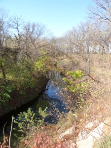 Tract #2 - 150.22± Acres of Farmland in Saline County Kansas - image 14